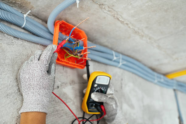 Best Electric Panel Repair  in Monrovia, MD